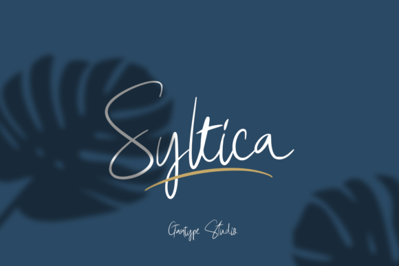 Choosing Syltica for a Modern Web Design Project