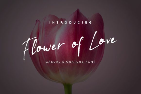 Flower of Love Font Review for Branding Projects