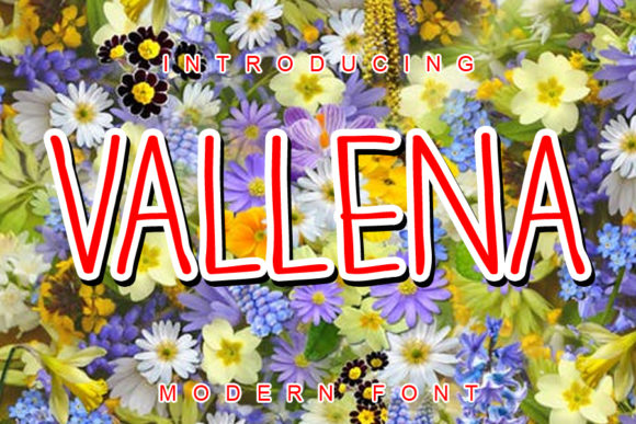 How Vallena Transformed My Brand's Visual Identity