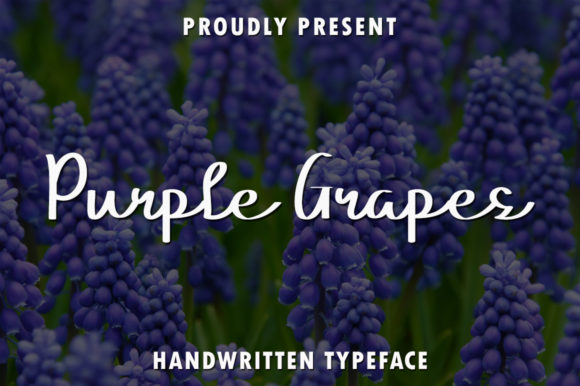 Purple Grapes Script Font Review
