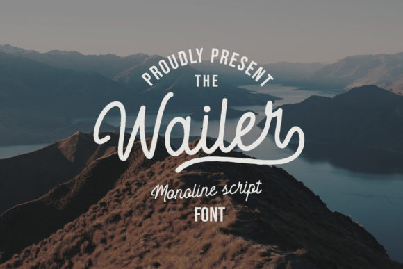 Wailer Font for Business Branding and Design