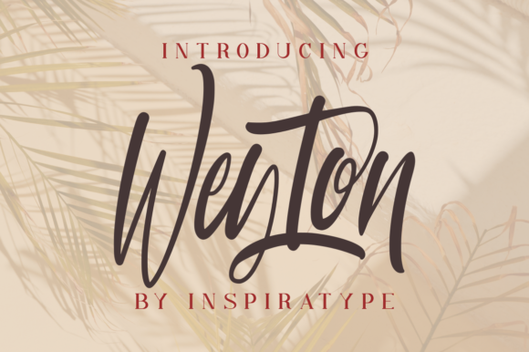 Weyton: A Quirky Script Font for Creative Branding